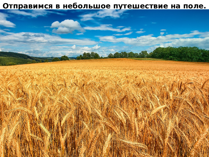 Презентация для подготовительной группы "Хлеб-наше богатство"