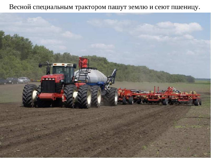 Презентация для подготовительной группы "Хлеб-наше богатство"