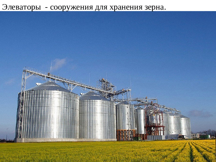 Презентация для подготовительной группы "Хлеб-наше богатство"