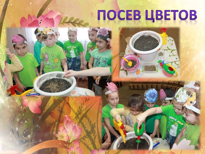 Отчет проекту в старшей группе "Волшебные цветы в детских сказках"