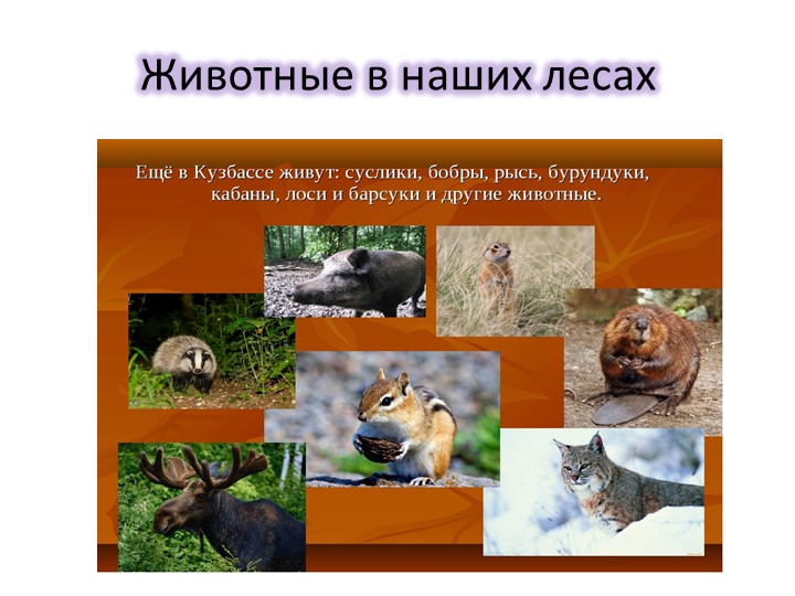 Презентация по окружающему миру по теме "Достопримечательности города"