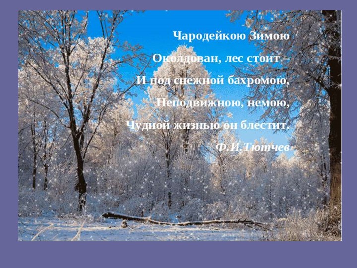 Презентация в детском саду на тему "Зима ступила на порог..."