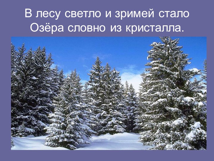 Презентация в детском саду на тему "Зима ступила на порог..."