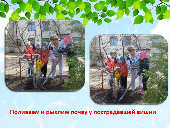 Спасая природу - украшаем мир!