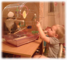 Picture 5