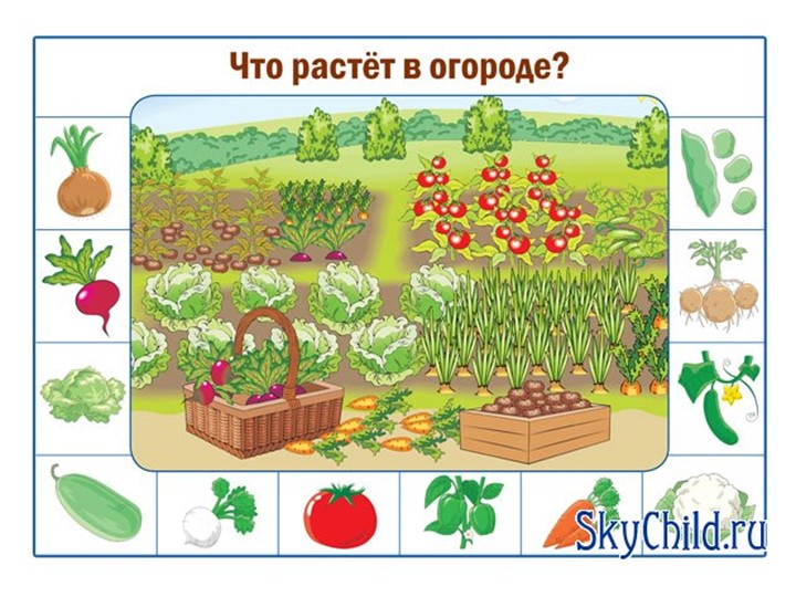 Презентация "Развитие речи детей старшего дошкольного возраста"