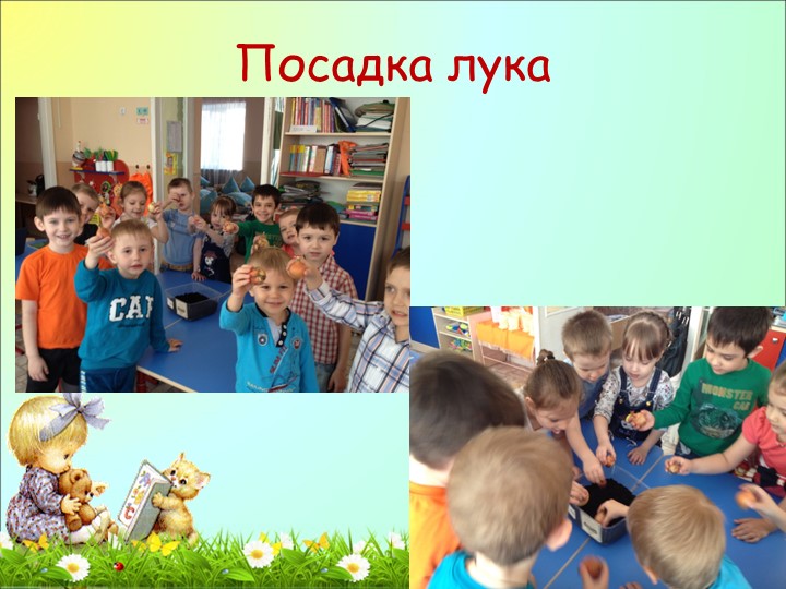 Фотоотчет о проделанной работе в средней группе