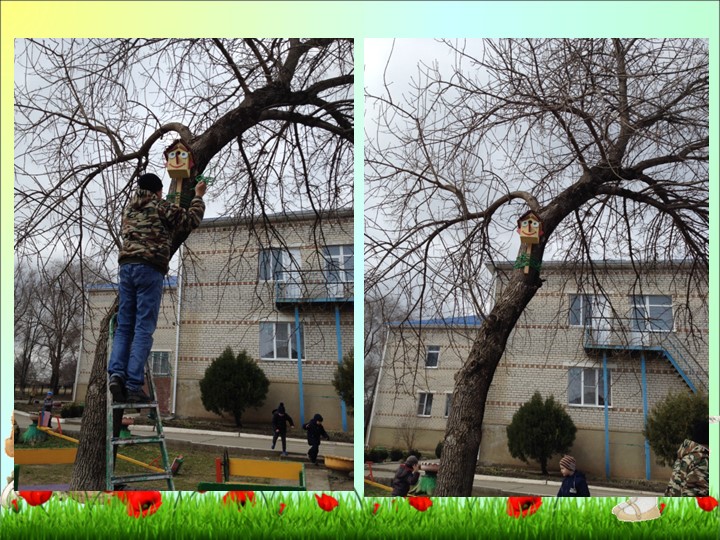 Фотоотчет о проделанной работе в средней группе