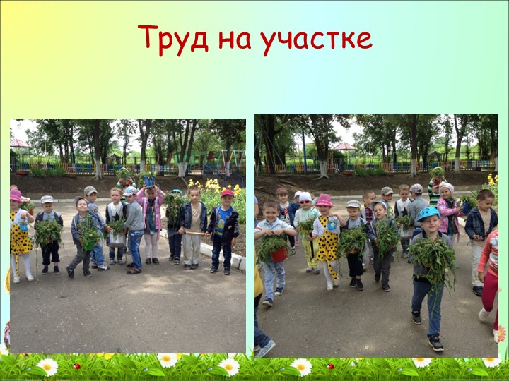 Фотоотчет о проделанной работе в средней группе