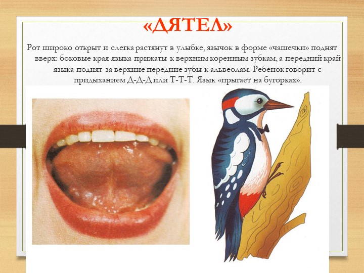 Презентация на тему "Артикуляционная гимнастика".