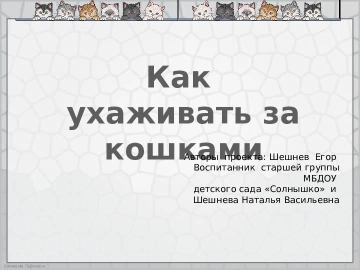 Презентация "Как ухаживать за кошками"