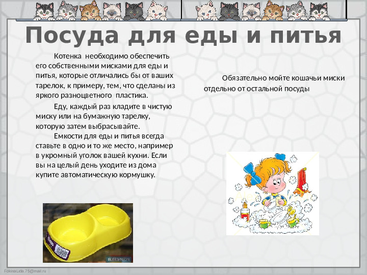 Презентация "Как ухаживать за кошками"