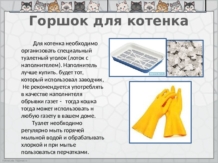 Презентация "Как ухаживать за кошками"