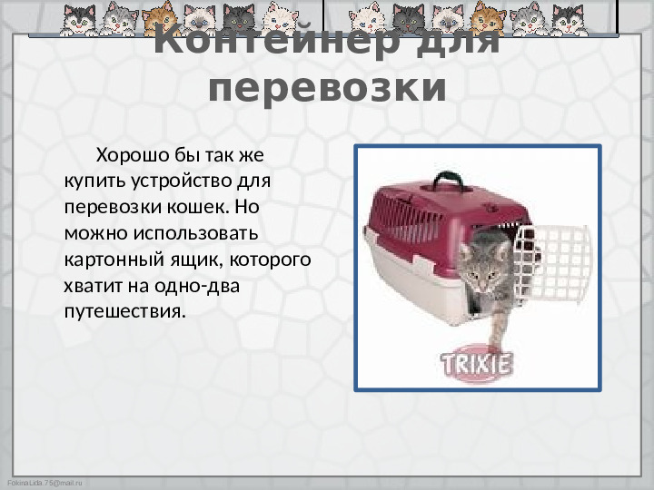 Презентация "Как ухаживать за кошками"