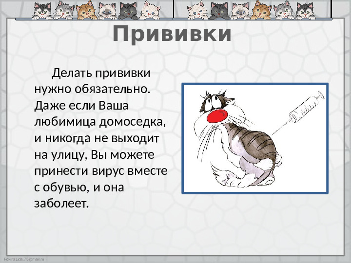 Презентация "Как ухаживать за кошками"