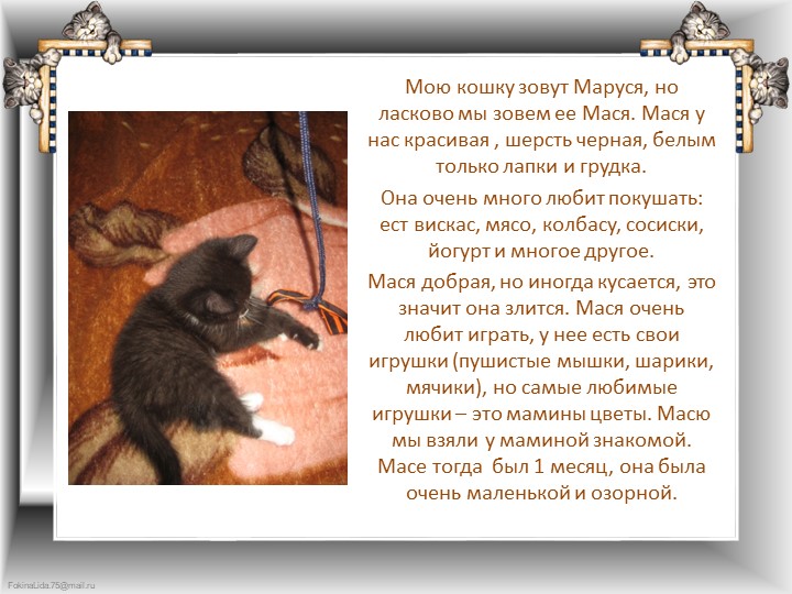 Презентация "Что любят делать кошки"