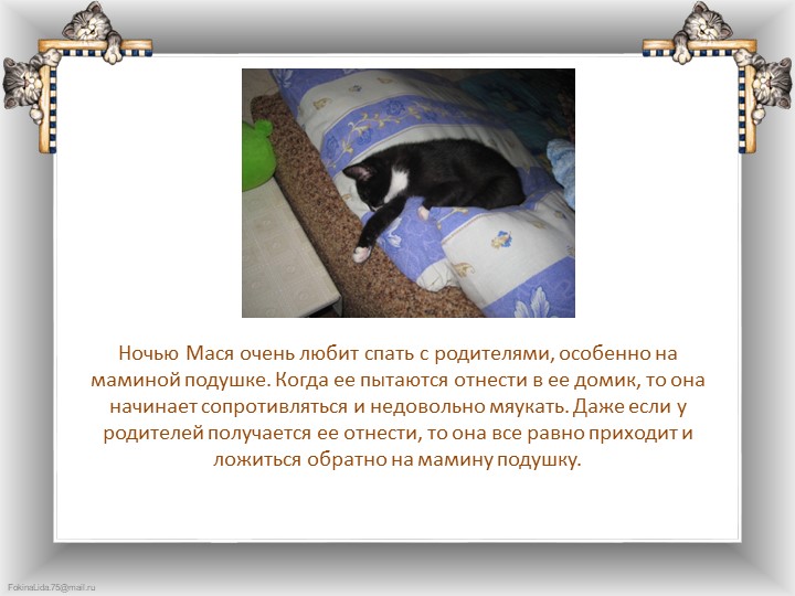 Презентация "Что любят делать кошки"