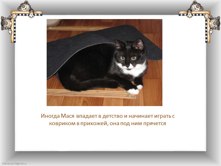 Презентация "Что любят делать кошки"