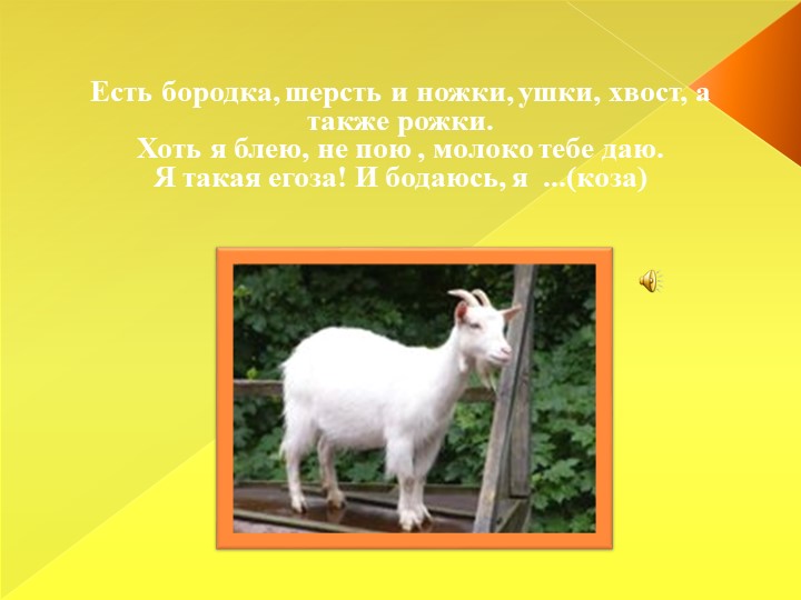 Презентация для детей младшего дошкольного возраста "Домашние животные"