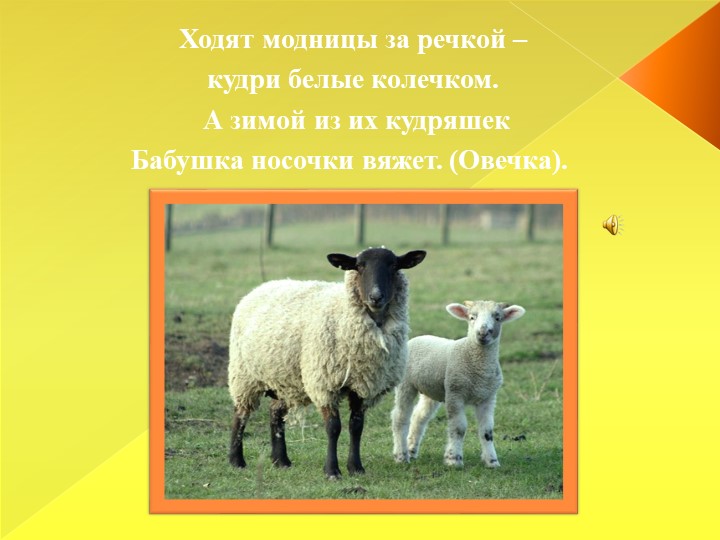 Презентация для детей младшего дошкольного возраста "Домашние животные"