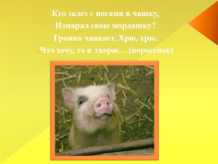 Презентация для детей младшего дошкольного возраста "Домашние животные"