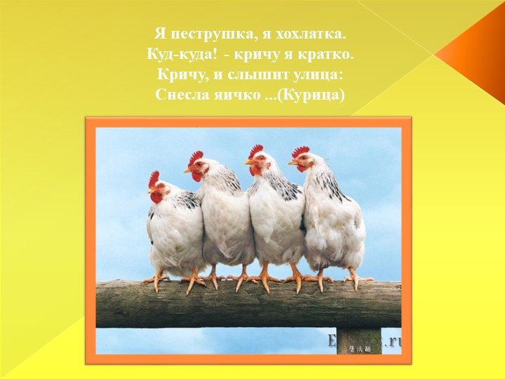 Презентация для детей младшего дошкольного возраста "Домашние животные"