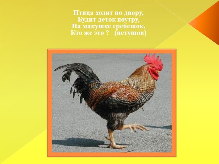 Презентация для детей младшего дошкольного возраста "Домашние животные"