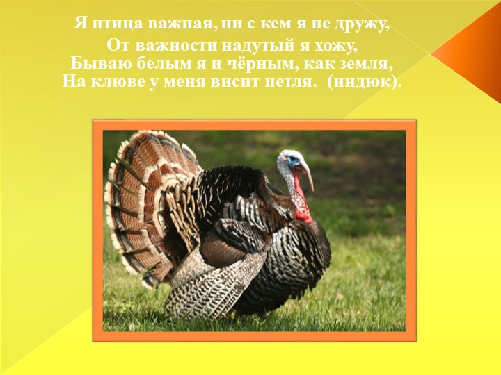 Презентация для детей младшего дошкольного возраста "Домашние животные"