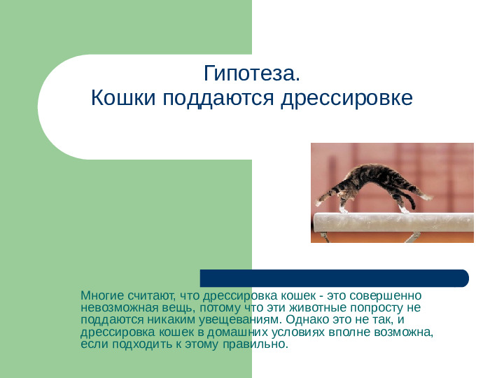 Презентация исследовательской работы "Как дрессировать кошек"