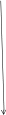 Shape15