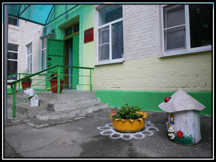 2017 - ГОД ЭКОЛОГИИ