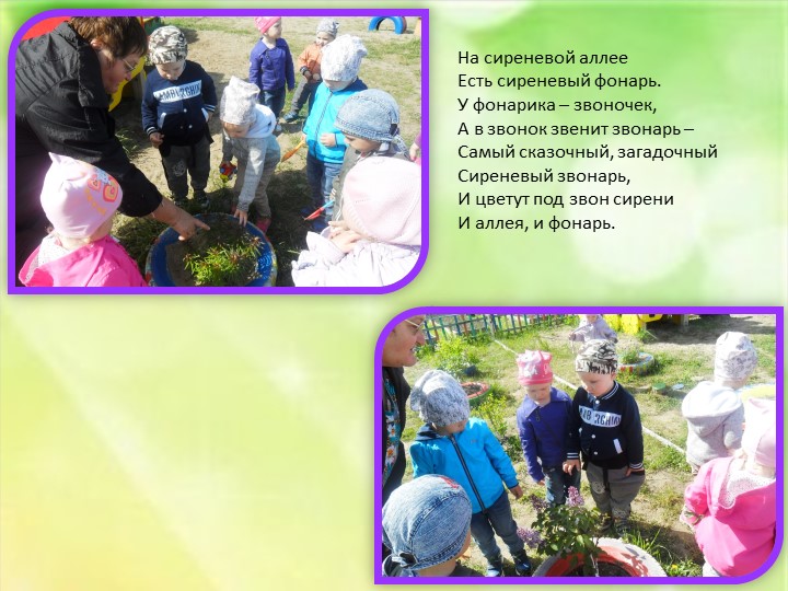 Презентация по летнему оздоровительному проекту "Наше лето"