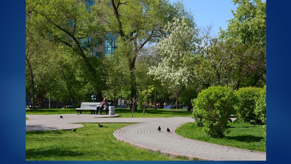 Презентация «Путешествие в городской, осенний парк»