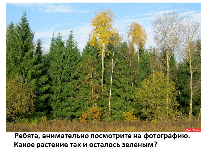 Презентация по познавательному развитию на тему "Осень"