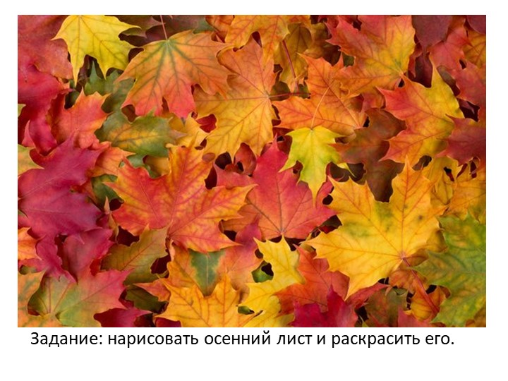 Презентация по познавательному развитию на тему "Осень"