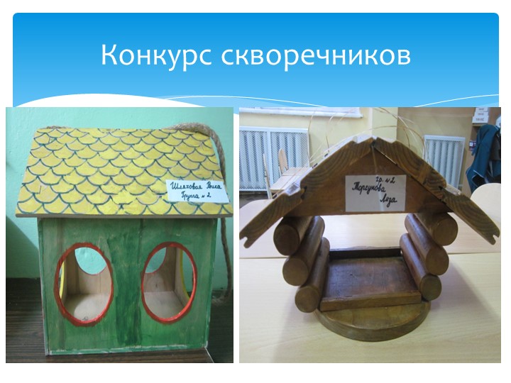 Фотоотчёт "Как мы провели год в средней группе" (2016 г)