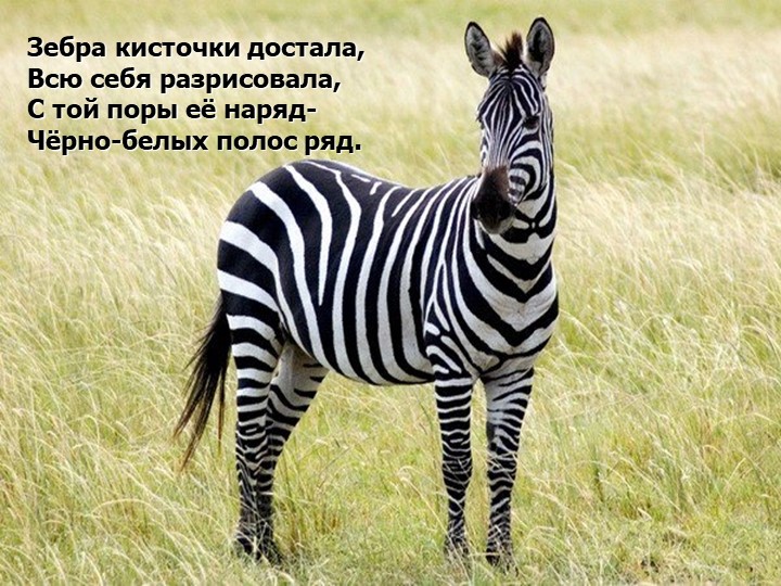 Презентация. Учим буквы. Буква З.
