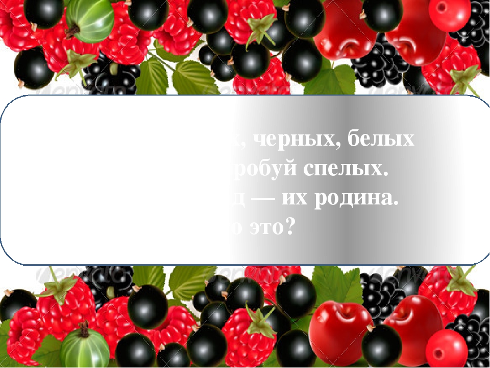 Иллюстративная презентация по развитию речи в старшей группе "ягоды"
