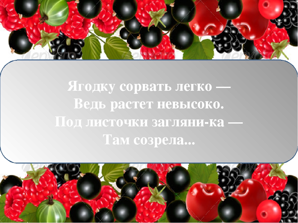 Иллюстративная презентация по развитию речи в старшей группе "ягоды"