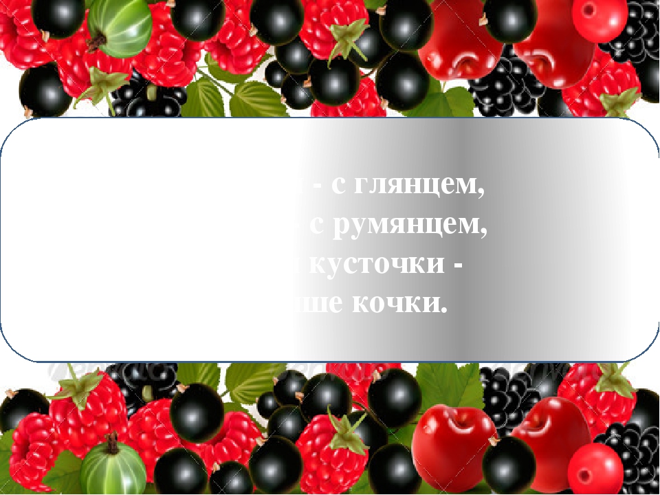 Иллюстративная презентация по развитию речи в старшей группе "ягоды"