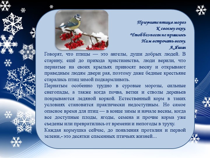 Презентация "Проект "Покормите птиц зимой"