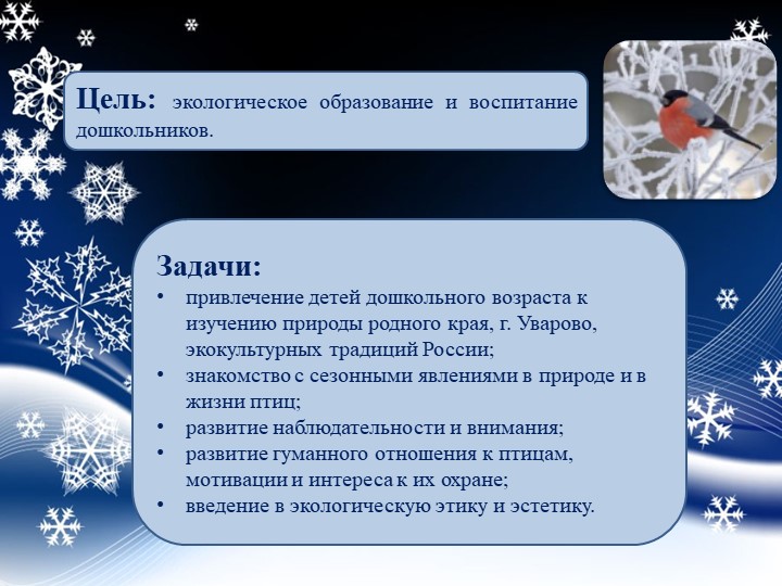 Презентация "Проект "Покормите птиц зимой"