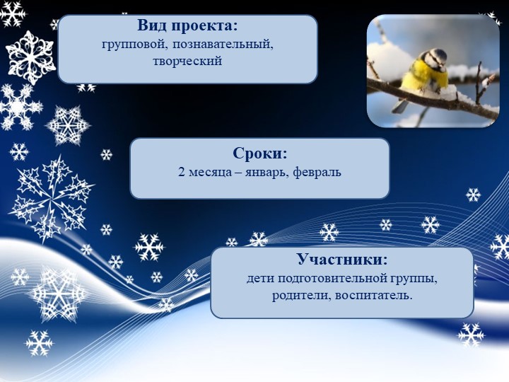 Презентация "Проект "Покормите птиц зимой"