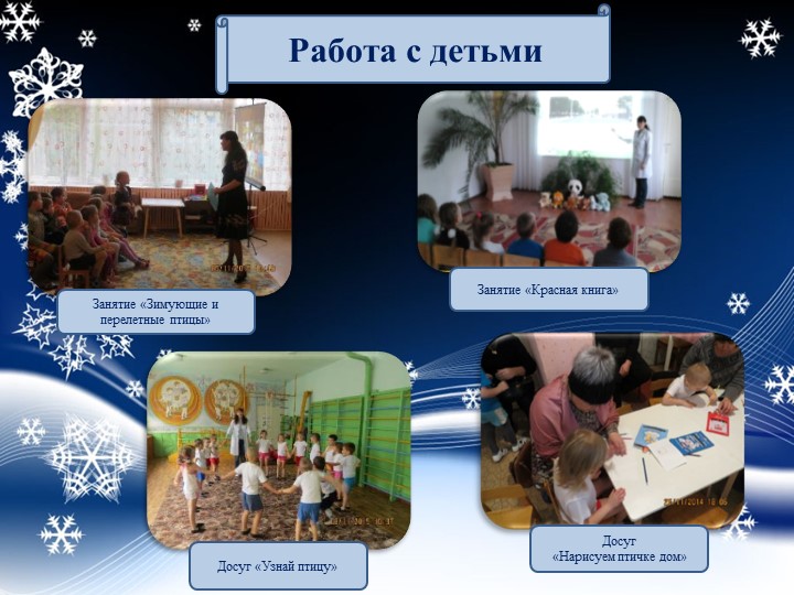Презентация "Проект "Покормите птиц зимой"