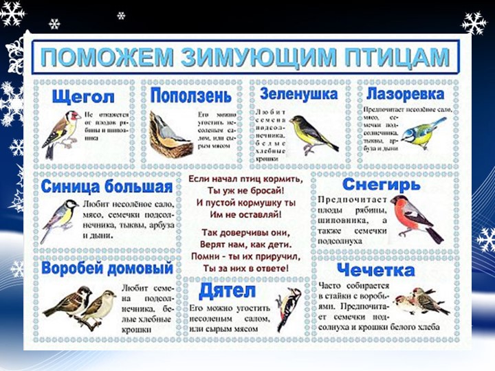 Презентация "Проект "Покормите птиц зимой"