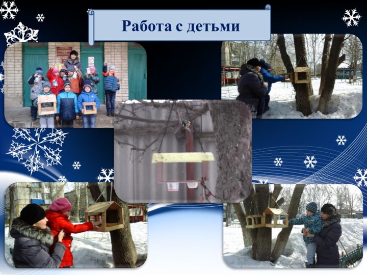 Презентация "Проект "Покормите птиц зимой"