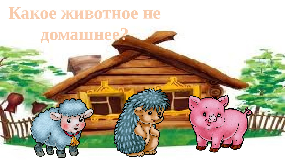 Презентация "Домашние животные" игра-викторина для младших детей