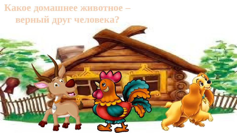 Презентация "Домашние животные" игра-викторина для младших детей