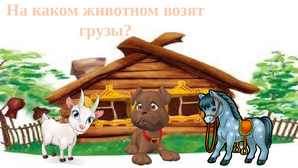 Презентация "Домашние животные" игра-викторина для младших детей