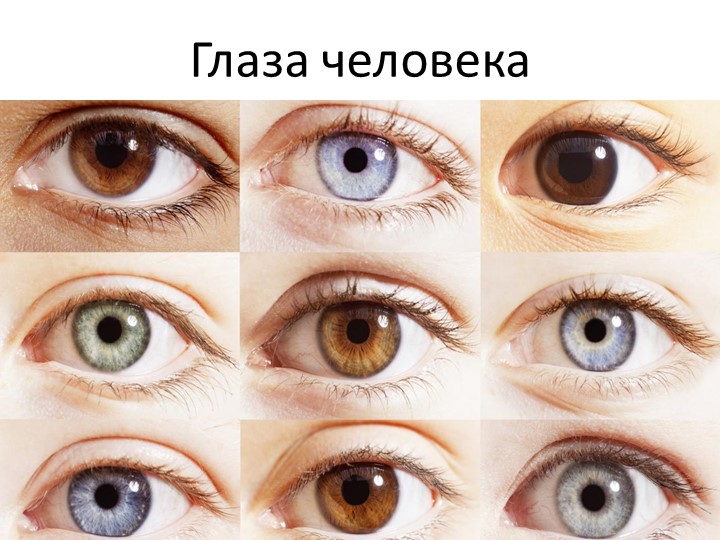 Проект на тему "Глаза - главные помощники человека"